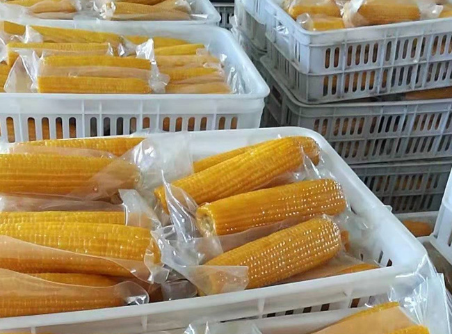 玉米杀菌